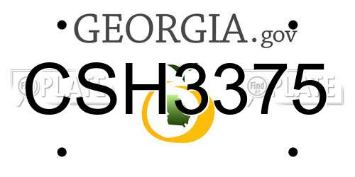 CSH3375 Georgia License Plate