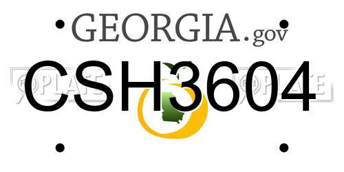 CSH3604 Georgia License Plate