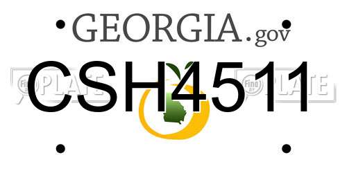 CSH4511 Georgia License Plate