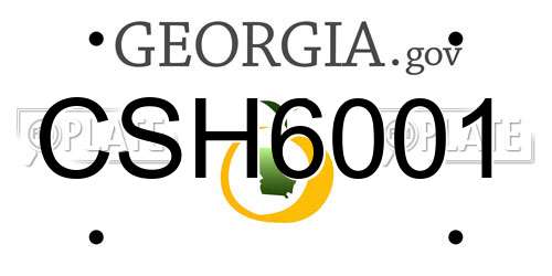 CSH6001 Georgia License Plate