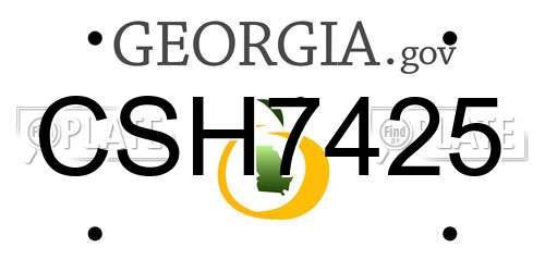 CSH7425 Georgia License Plate