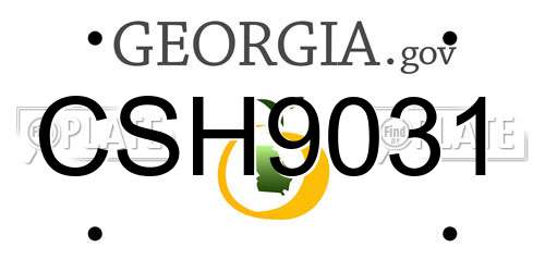 CSH9031 Georgia License Plate