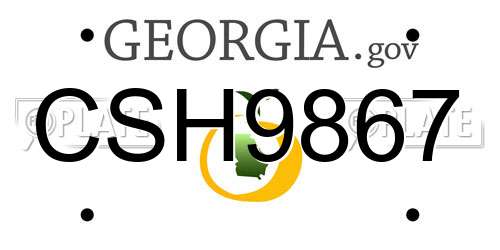 CSH9867 Georgia License Plate