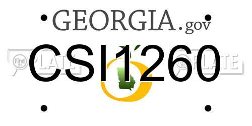 CSI1260 Georgia License Plate