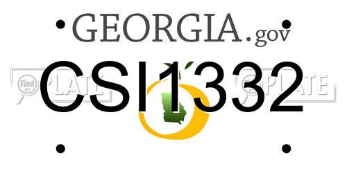 CSI1332 Georgia License Plate