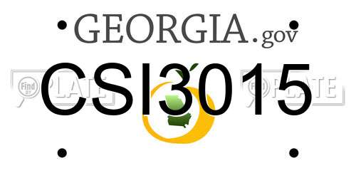 CSI3015 Georgia License Plate