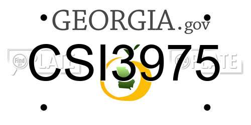 CSI3975 Georgia License Plate