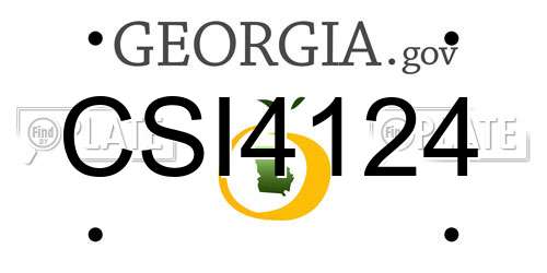 CSI4124 Georgia License Plate