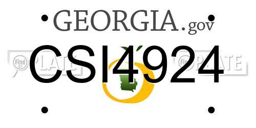 CSI4924 Georgia License Plate