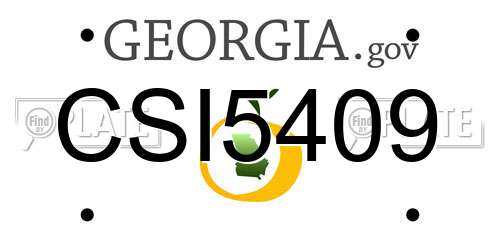 CSI5409 Georgia License Plate