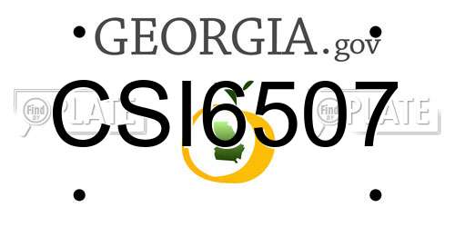 CSI6507 Georgia License Plate