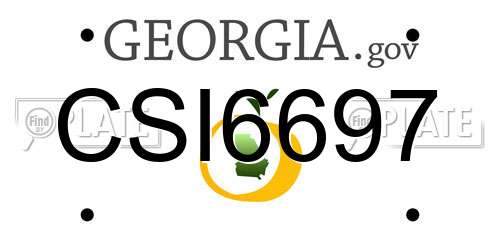 CSI6697 Georgia License Plate