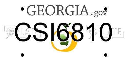 CSI6810 Georgia License Plate