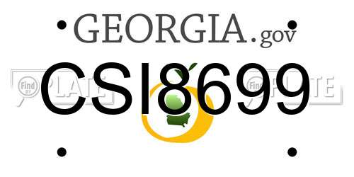 CSI8699 Georgia License Plate