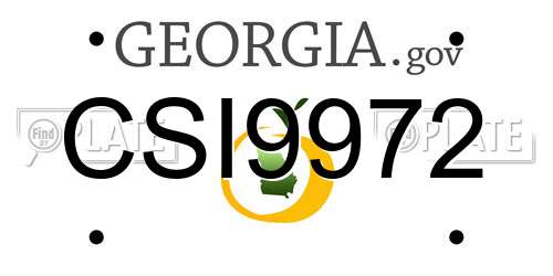 CSI9972 Georgia License Plate