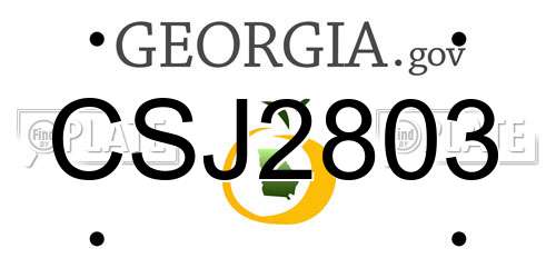 CSJ2803 Georgia License Plate