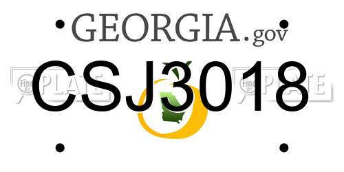 CSJ3018 Georgia License Plate
