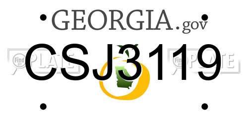 CSJ3119 Georgia License Plate