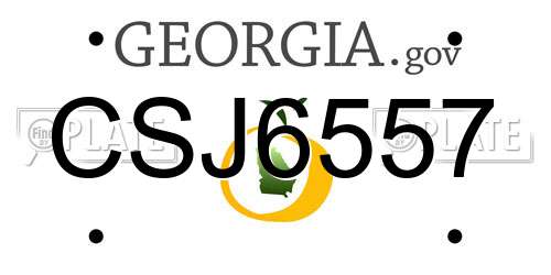 CSJ6557 Georgia License Plate