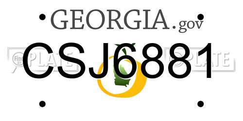 CSJ6881 Georgia License Plate