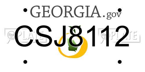 CSJ8112 Georgia License Plate