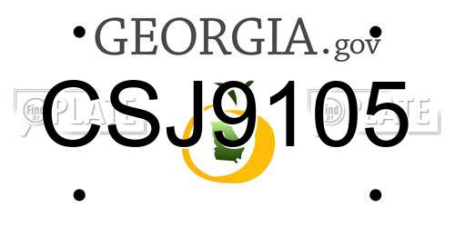 CSJ9105 Georgia License Plate