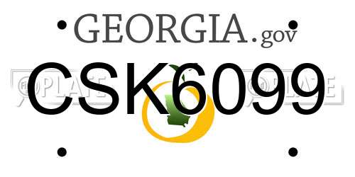CSK6099 Georgia License Plate
