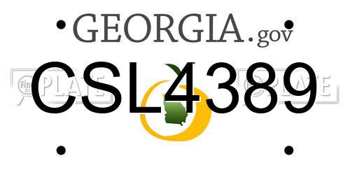 CSL4389 Georgia License Plate
