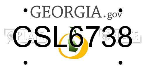CSL6738 Georgia License Plate