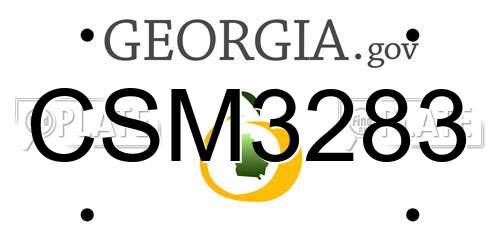 CSM3283 Georgia License Plate