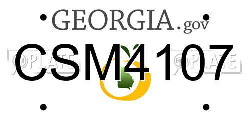CSM4107 Georgia License Plate