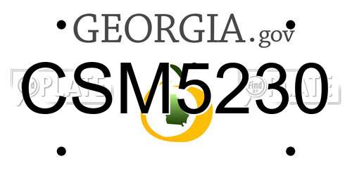 CSM5230 Georgia License Plate