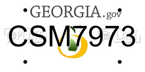 CSM7973 Georgia License Plate