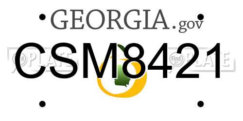 CSM8421 Georgia License Plate