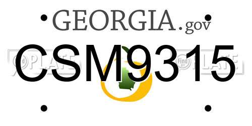 CSM9315 Georgia License Plate