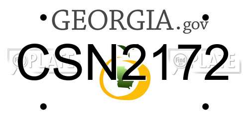 CSN2172 Georgia License Plate