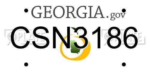CSN3186 Georgia License Plate