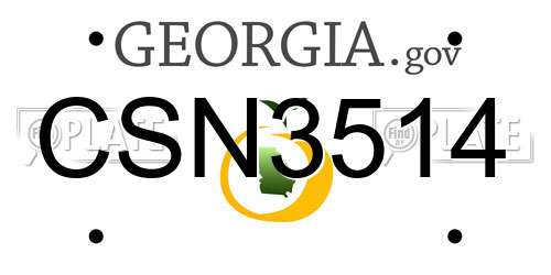 CSN3514 Georgia License Plate