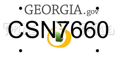 CSN7660 Georgia License Plate