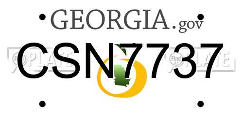 CSN7737 Georgia License Plate