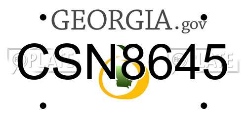 CSN8645 Georgia License Plate