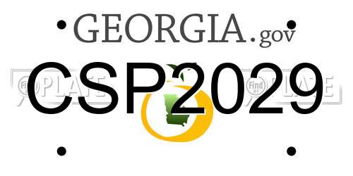 CSP2029 Georgia License Plate