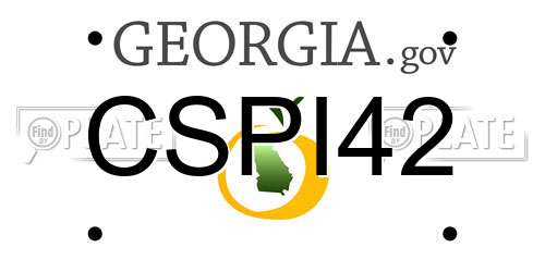 CSPI42 Georgia License Plate