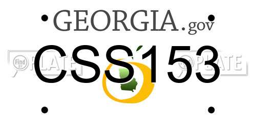 CSS153 Georgia License Plate