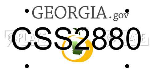 CSS2880 Georgia License Plate