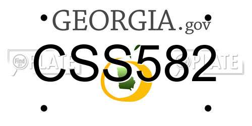 CSS582 Georgia License Plate