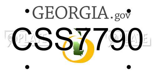 CSS7790 Georgia License Plate