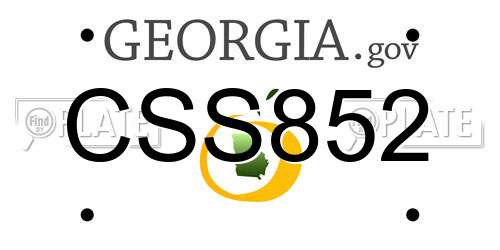 CSS852 Georgia License Plate