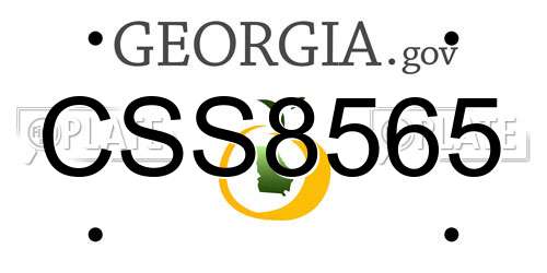 CSS8565 Georgia License Plate