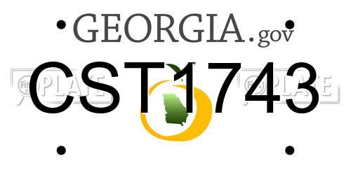 CST1743 Georgia License Plate